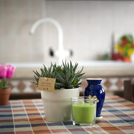 Soggiorno Iris Siena