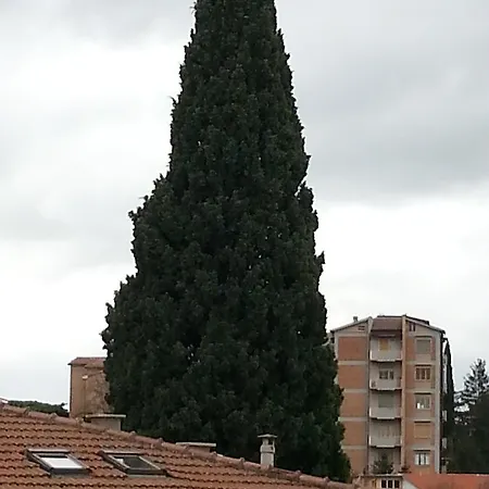 Pensión Soggiorno Iris Siena