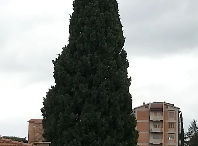 Penzion Soggiorno Iris Siena