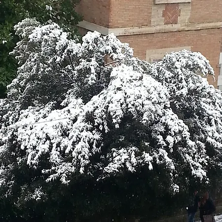 Pensión Soggiorno Iris *