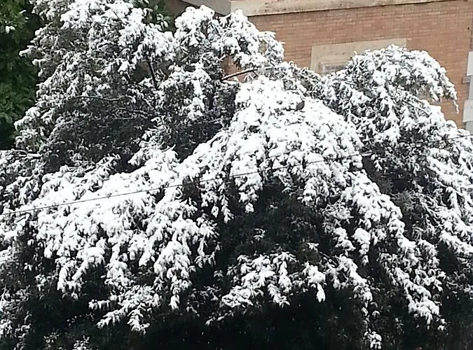 Pensionat Soggiorno Iris *